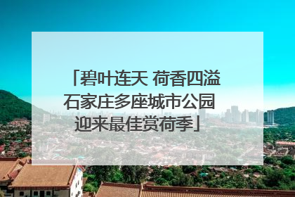碧叶连天 荷香四溢 石家庄多座城市公园迎来最佳赏荷季