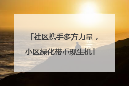 社区携手多方力量，小区绿化带重现生机