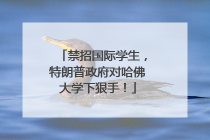 禁招国际学生，特朗普政府对哈佛大学下狠手！