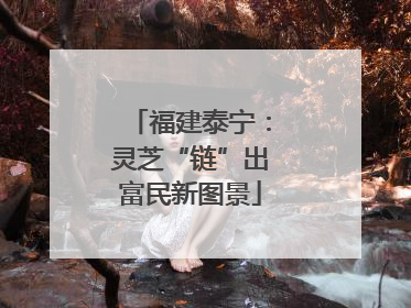 福建泰宁：灵芝“链”出富民新图景