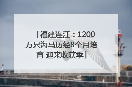 福建连江：1200万只海马历经8个月培育 迎来收获季