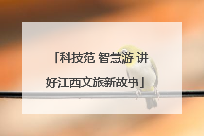 科技范 智慧游 讲好江西文旅新故事