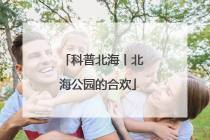 科普北海丨北海公园的合欢