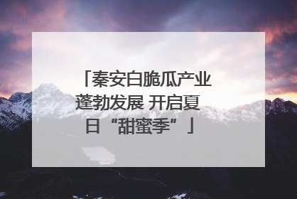 秦安白脆瓜产业蓬勃发展 开启夏日“甜蜜季”