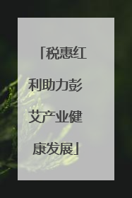 税惠红利助力彭艾产业健康发展