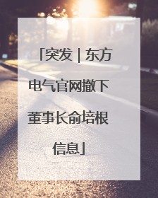 突发｜东方电气官网撤下董事长俞培根信息