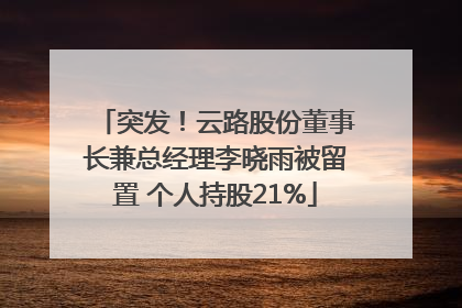 突发！云路股份董事长兼总经理李晓雨被留置 个人持股21%