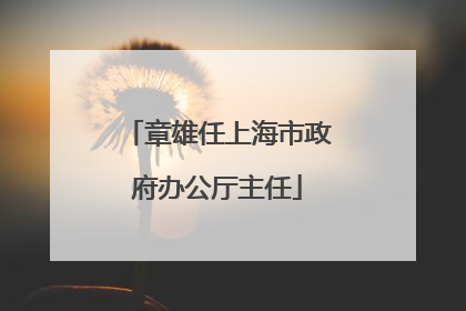 章雄任上海市政府办公厅主任