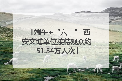 端午+“六一” 西安文博单位接待观众约51.34万人次