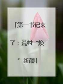 第一书记来了：荒村“焕”新颜