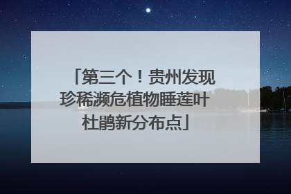 第三个！贵州发现珍稀濒危植物睡莲叶杜鹃新分布点