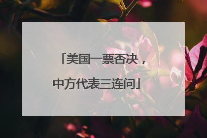 美国一票否决，中方代表三连问