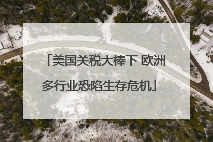 美国关税大棒下 欧洲多行业恐陷生存危机