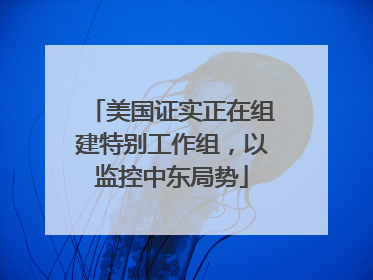 美国证实正在组建特别工作组，以监控中东局势