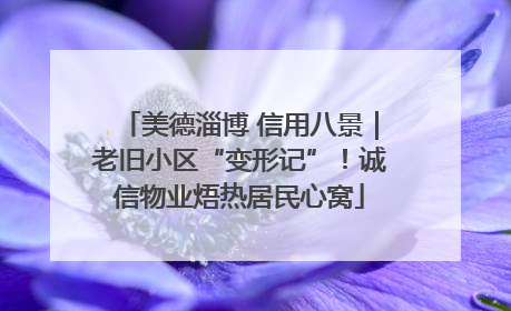 美德淄博 信用八景｜老旧小区“变形记”！诚信物业焐热居民心窝