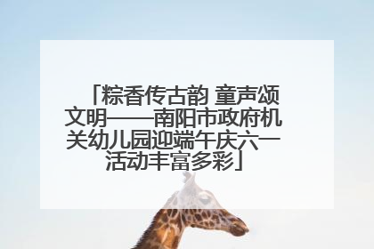 粽香传古韵 童声颂文明——南阳市政府机关幼儿园迎端午庆六一活动丰富多彩