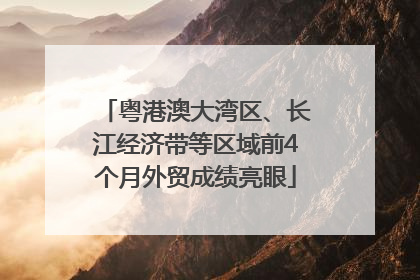 粤港澳大湾区、长江经济带等区域前4个月外贸成绩亮眼