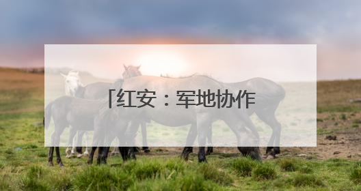 红安：军地协作整治穿着仿制军服商业演出乱象