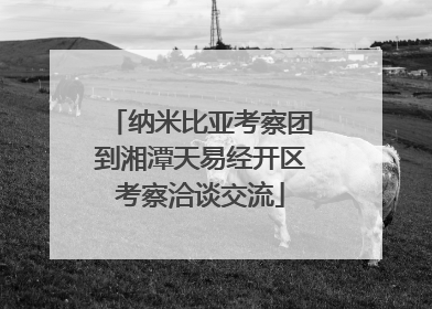 纳米比亚考察团到湘潭天易经开区考察洽谈交流