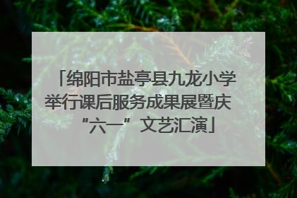 绵阳市盐亭县九龙小学举行课后服务成果展暨庆“六一”文艺汇演