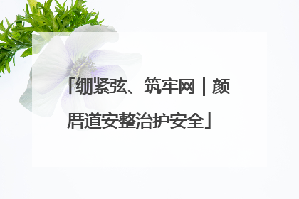 绷紧弦、筑牢网｜颜厝道安整治护安全