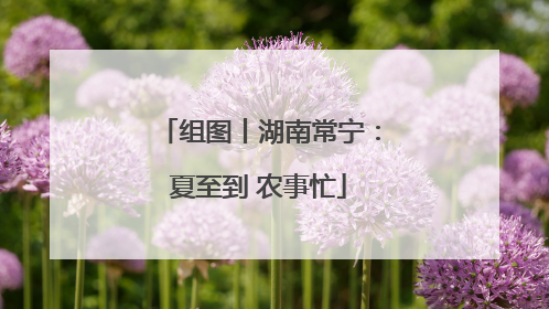 组图丨湖南常宁：夏至到 农事忙
