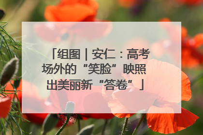 组图｜安仁：高考场外的“笑脸”映照出美丽新“答卷”