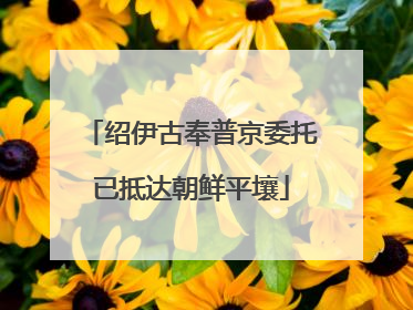 绍伊古奉普京委托已抵达朝鲜平壤