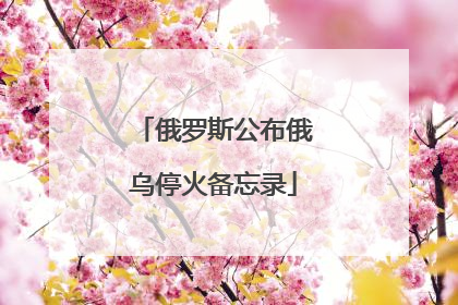 俄罗斯公布俄乌停火备忘录