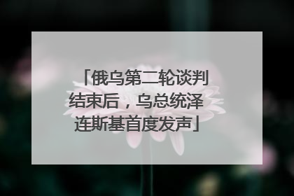 俄乌第二轮谈判结束后，乌总统泽连斯基首度发声