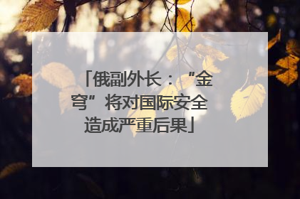 俄副外长：“金穹”将对国际安全造成严重后果