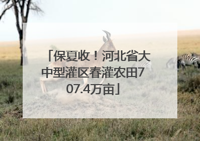 保夏收！河北省大中型灌区春灌农田707.4万亩