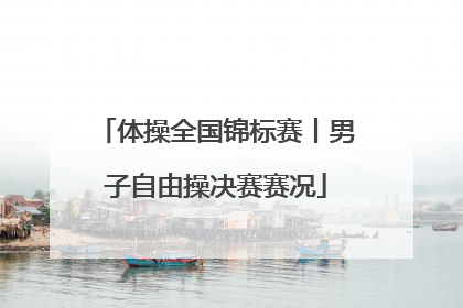 体操全国锦标赛丨男子自由操决赛赛况
