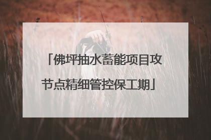 佛坪抽水蓄能项目攻节点精细管控保工期