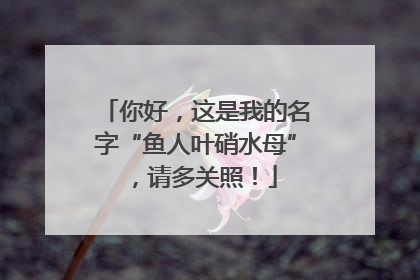 你好，这是我的名字“鱼人叶硝水母”，请多关照！
