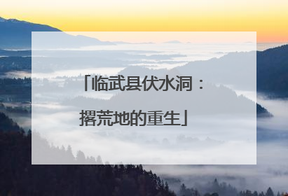 临武县伏水洞：撂荒地的重生