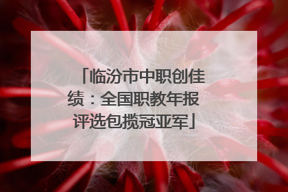临汾市中职创佳绩：全国职教年报评选包揽冠亚军