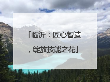 临沂：匠心智造，绽放技能之花