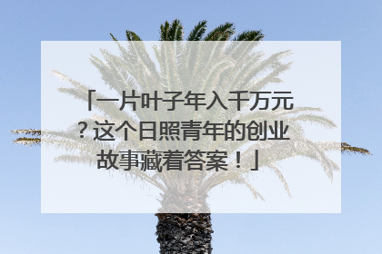 一片叶子年入千万元？这个日照青年的创业故事藏着答案！