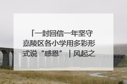 一封回信一年坚守 嘉陵区各小学用多彩形式说“感恩”｜风起之江 扶摇直上