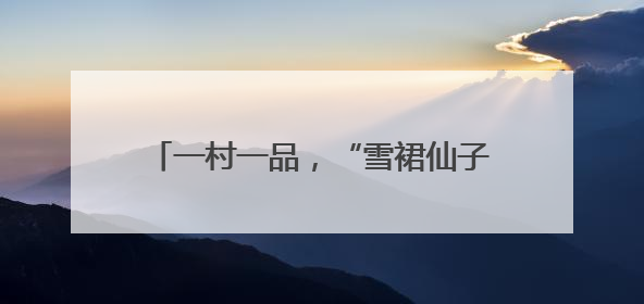 一村一品，“雪裙仙子”撑开村民“致富伞”