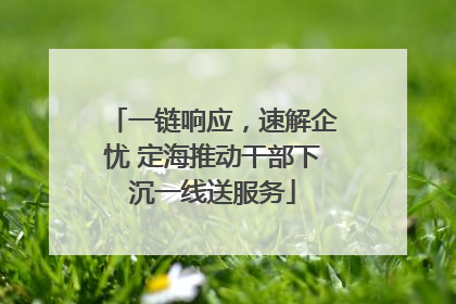 一链响应，速解企忧 定海推动干部下沉一线送服务