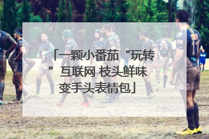 一颗小番茄“玩转”互联网 枝头鲜味变手头表情包