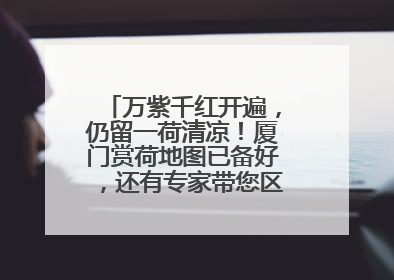 万紫千红开遍，仍留一荷清凉！厦门赏荷地图已备好，还有专家带您区分荷与莲→