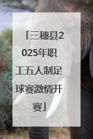 三穗县2025年职工五人制足球赛激情开赛