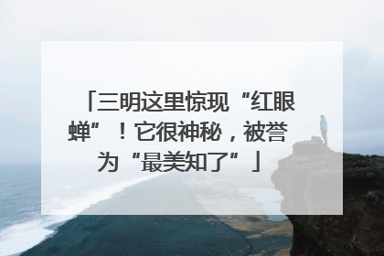 三明这里惊现“红眼蝉”！它很神秘，被誉为“最美知了”