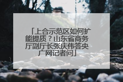 上合示范区如何扩能提质？山东省商务厅副厅长张庆伟答央广网记者问