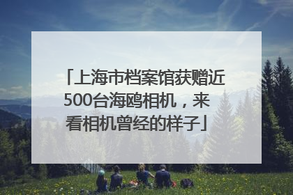 上海市档案馆获赠近500台海鸥相机，来看相机曾经的样子