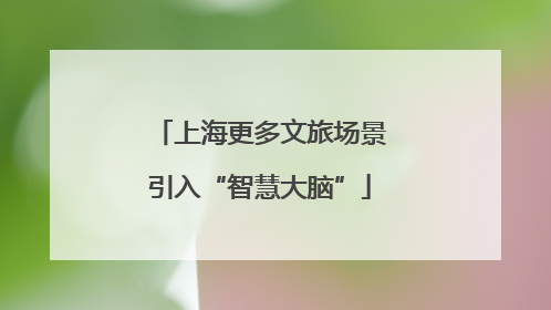 上海更多文旅场景引入“智慧大脑”