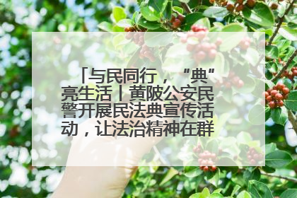 与民同行，“典”亮生活丨黄陂公安民警开展民法典宣传活动，让法治精神在群众心中落地生根